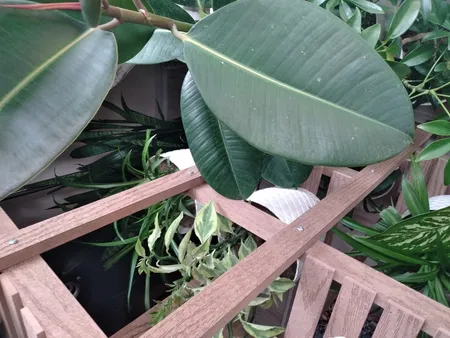 استند گلدان مدل A3