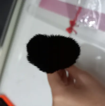 براش رژگونه مدل Gorgeous Fashion