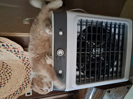 کولر آبی سلولزی 2800 مدل AC-2800