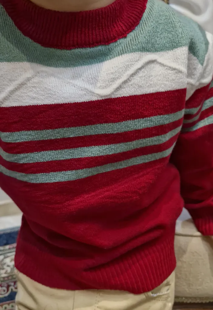 پلیور پسرانه مدل Lozi 3550