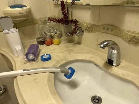 فرچه توالت شوی مدل کلینو 01