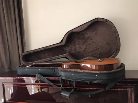 هارد کیس گیتار کلاسیک مدل black