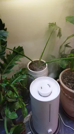 دستگاه بخور سرد میجیا مدل 2