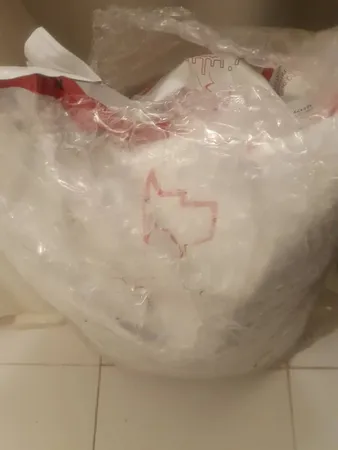 غذای خشک سگ سلبن مدل large adult n وزن 10 کیلوگرم