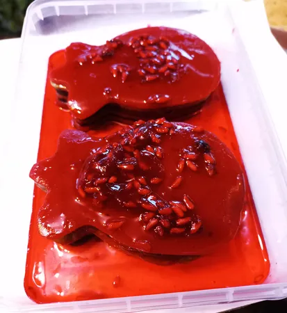 ترشک لواشک انار با سس انار - 450 گرم