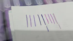 تجریه خرید روان نویس لنگو مدل پرپل استایل بسته 9 عددی