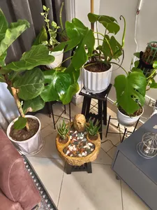 تجریه خرید آب نما سنگدانه مدل AB652