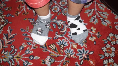 جوراب نوزادی طرح گاو