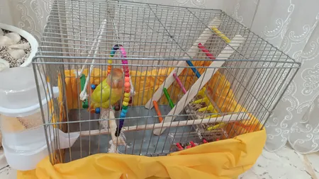 کاور قفس حیوانات مدل 1033