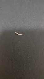 کفش زنانه پاتکان کد NIC829