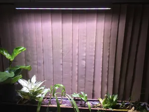 تجریه خرید وال واشر رشد گیاه 36 وات مدل W