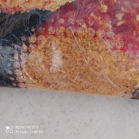 پودر سوخاری پولکی دانه درشت پاپریکا آینز - 1000گرم