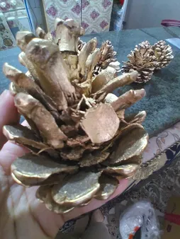 میوه تزیینی کاج مدل 121111مجموعه 5 عددی