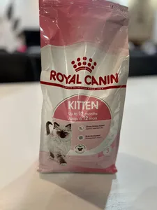 تجریه خرید غذای خشک بچه گربه رویال کنین  مدل Kitten  وزن 2 کیلوگرم