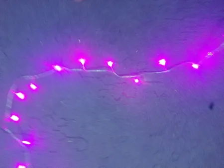 ریسه ال ای دی کد 100-LED طول 10 متر