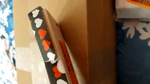 تجریه خرید ساعت مچی عقربه ای بچگانه مدل اسپایدر کد 01