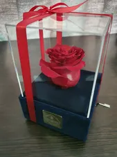 تجریه خرید جعبه موزیکال گل ماندگار دکوفیوره مدل رز جاودان ملودی های عاشقانه