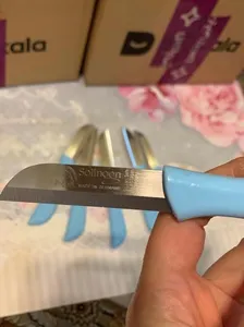 تجریه خرید کارد میوه خوری زولینگن مدل تیغه ساده بسته 6 عددی