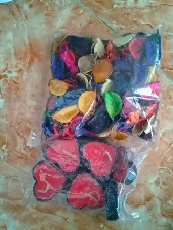 گل خشک مدل Hollands