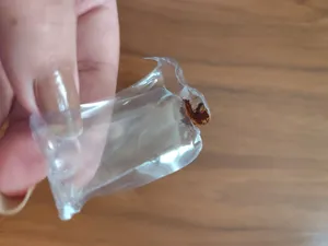 تجریه خرید ترازوی آشپزخانه مدل Electronic کد G1