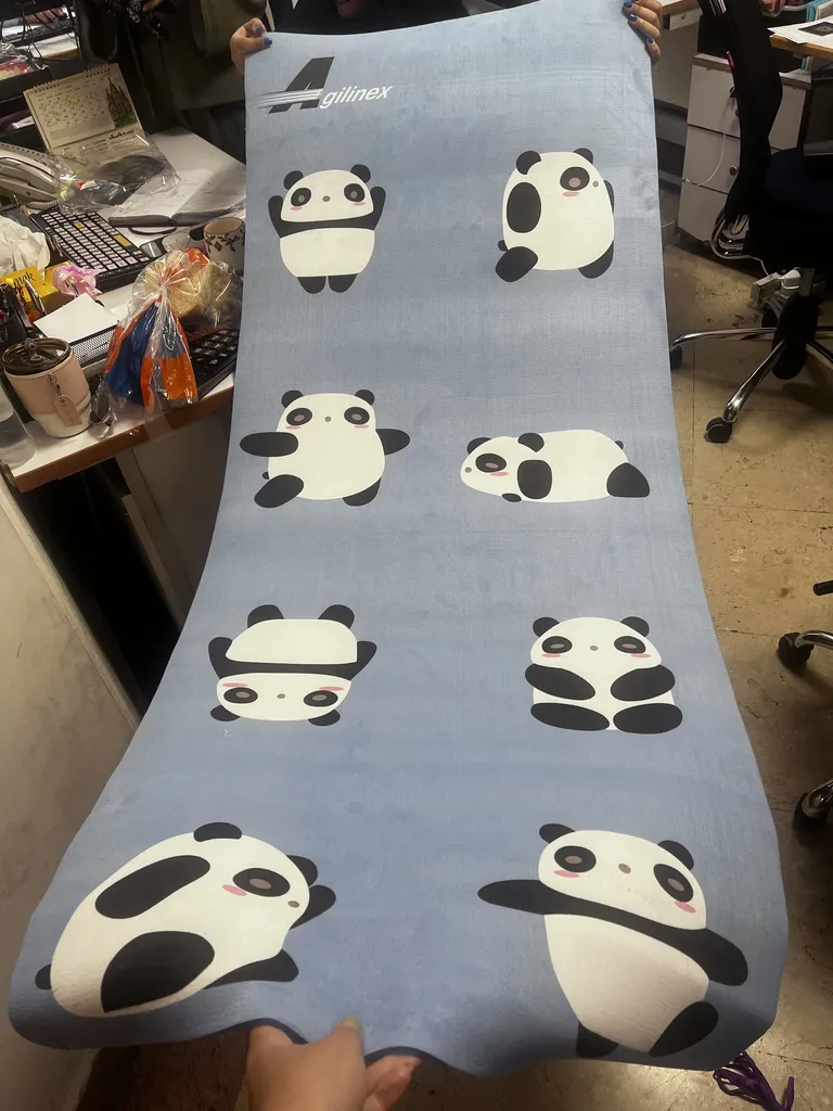 زیر انداز یوگا اجیلی نکس مدل پاندا ضخامت 6 میلی متر