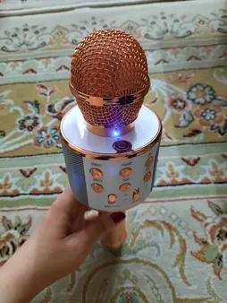 میکروفون اسپیکر بلوتوثی اسمارت بری مدل WS-858