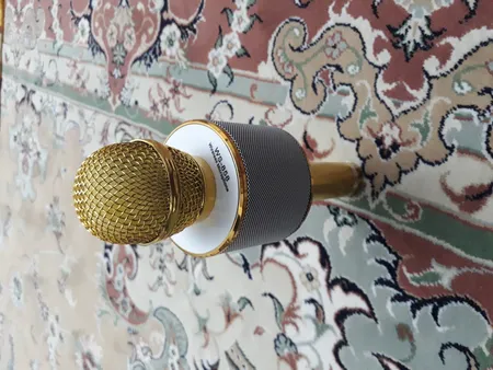 میکروفون اسپیکر مدل WS-858