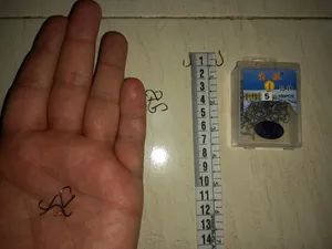 تجریه خرید قلاب ماهیگیری مدل فولادی کد 5 بسته 100 عددی