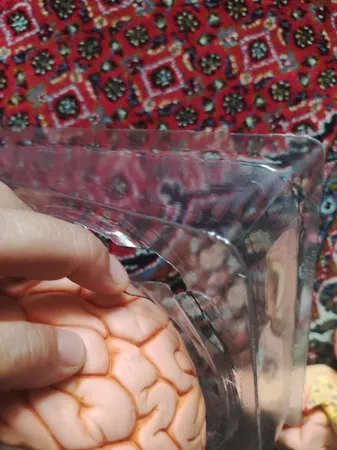 بازی آموزشی مدل مولاژ مغز انسان مدل 4Parts کد A4