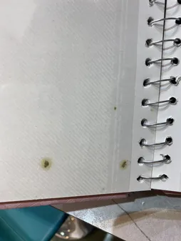 البوم عکس کد40