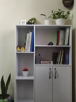 کتابخانه مدل Sj1169