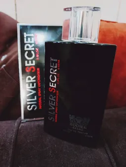 ادو پرفیوم مردانه رودیر مدل Silver Secret حجم 100 میلی لیتر