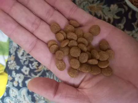 غذای خشک توله سگ فیدار مدل نژاد بزرگ وزن 8 کیلوگرم