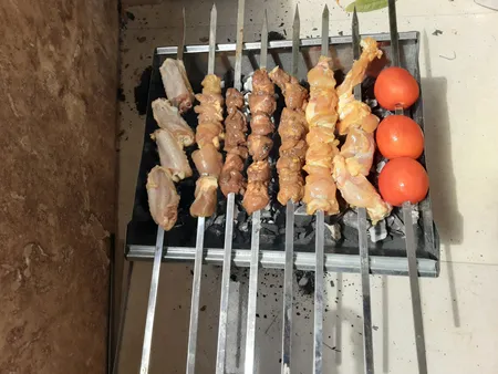 منقل تاشوسفری مدلBraner