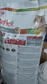 تجریه خرید غذای خشک گربه بالغ رفلکس مدل Multicolor New وزن 15 کیلوگرم