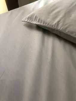 سرویس ملحفه هانی مدل Plain دو نفره سه تکه