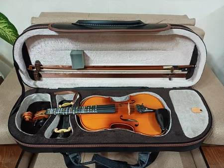 هاردکیس ویولن مدل MAGHSN