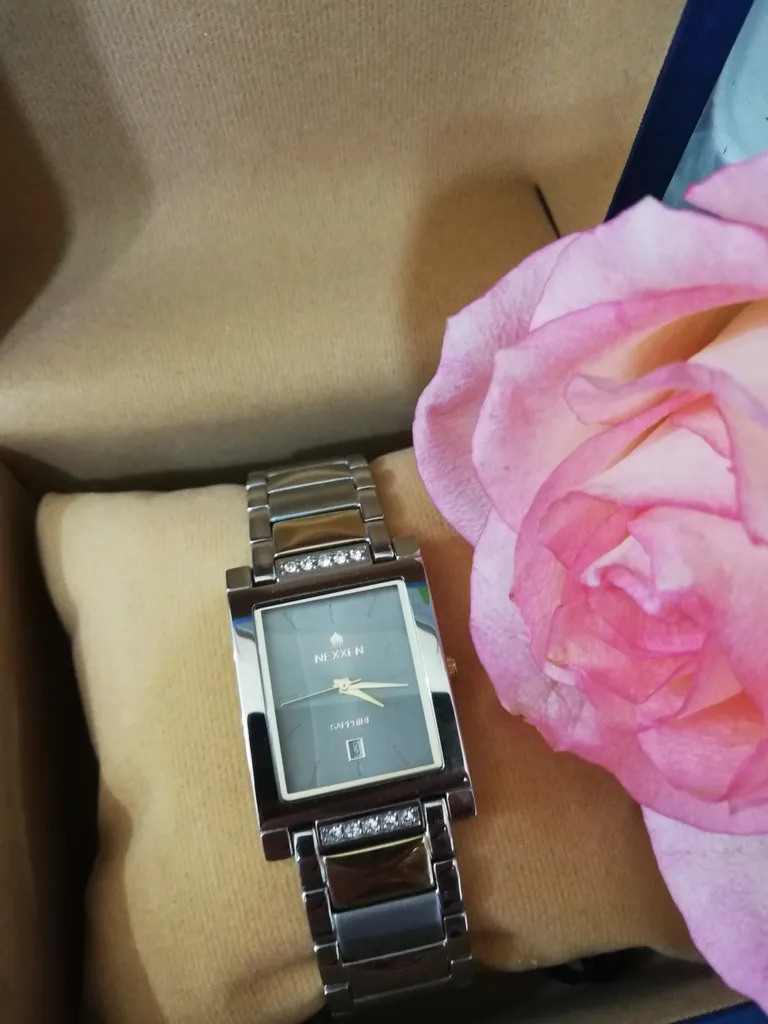 ساعت مچی عقربه ای مردانه نکسن مدل G3104R12