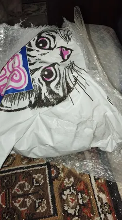 خاک بستر گربه تاینی کت مدل P1 وزن 10 کیلوگرم