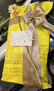 تجریه خرید عروسک طرح زی زی گولو کد 10