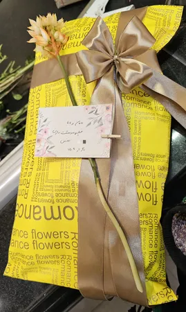 عروسک طرح زی زی گولو کد 10