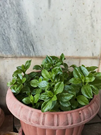 گوشی موبایل شیائومی مدل Poco F5 5G دو سیم کارت ظرفیت 256 گیگابایت و رم 12 گیگابایت - گلوبال