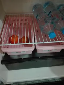 تجریه خرید سبد نگهدارنده مرسه کد 1089 بسته 2 عددی