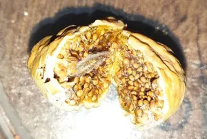 تجریه خرید انجیر خشک پرک هیرشا - 400 گرم