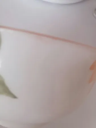 کاسه طرح بهار گل ها کد Fs006 مجموعه 6 عددی