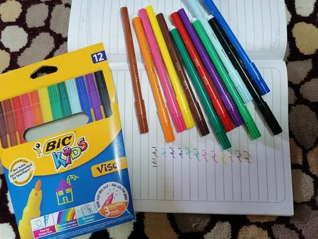 ماژیک رنگ آمیزی 12 رنگ بیک مدل VISA کد S6