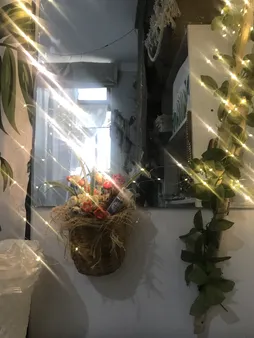 ریسه ال ای دی مفتولی کد 100LED طول 10 متر