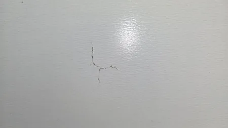 کتابخانه کد FH63