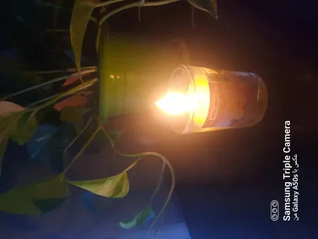 شمع لیوانی پنت مکس مدل عطری لیمو