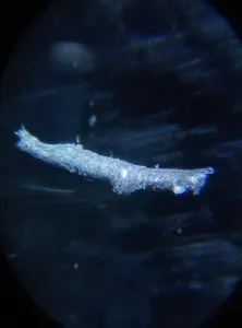 تجریه خرید سیم برق 2 در 1 مدل NYL201